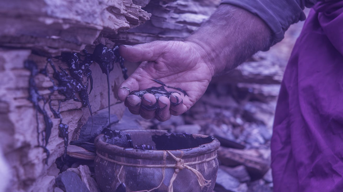 The Science Behind Shilajit: How This Himalayan Treasure Enhances Mind and Body